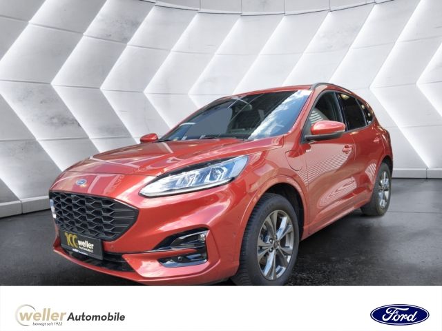 Kuga