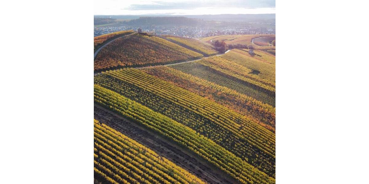 Möblierte 2 Zimmer-Wohnung in HN-Sontheim 2 zimmer
