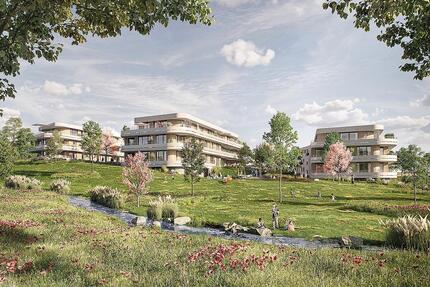 3,5 - Zimmer Penthouse Wohnung 