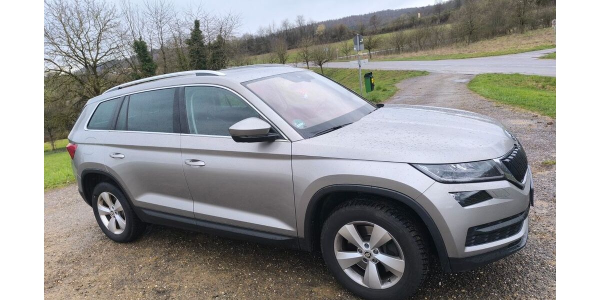 Skoda Kodiaq 260.000 km 17.000 &euro; Obrigheim 74847