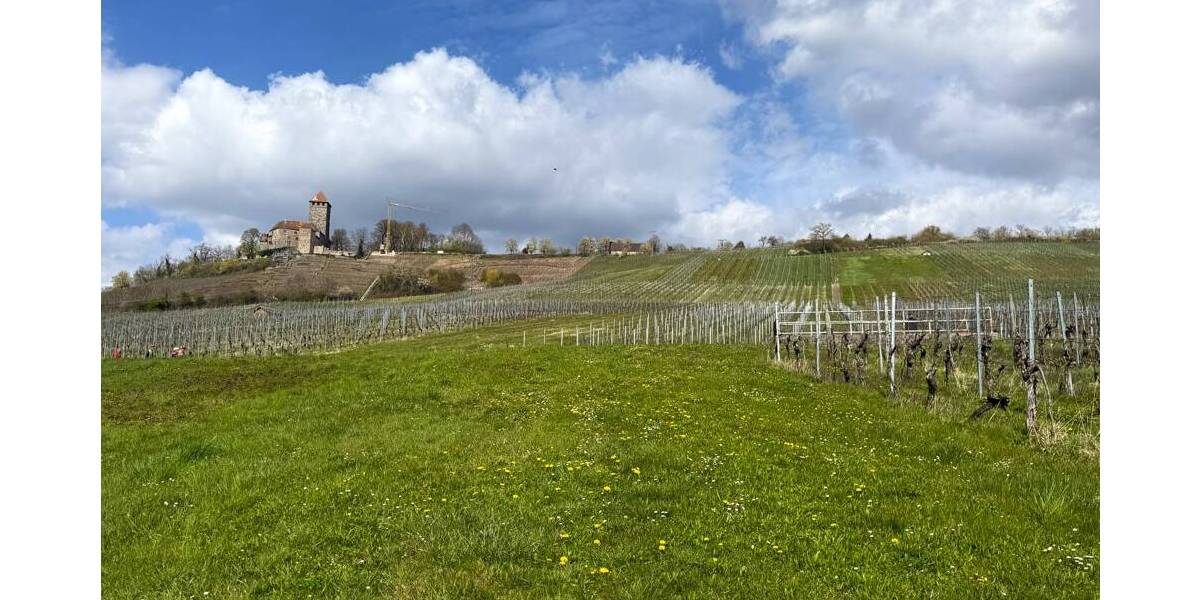 Grundstück Großbottwar Hof und Lembach - 549.000&euro; | Angebot:26205721