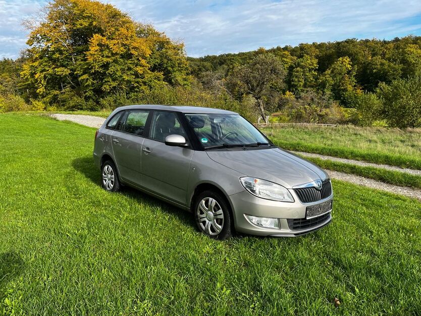 Skoda Fabia 134.282 km 4.500 € Adelsheim 74740