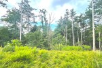 Naturnah: Besonderes 1-2 Familienhaus in Aussichtslage - Zweifamilienhaus Mosbach | Angebot:26675706