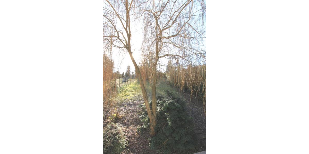 Doppelhaushälfte Heilbronn Kernstadt - 7 Zimmer, 220 m&sup2;, 2.350&euro; | Angebot:24295376