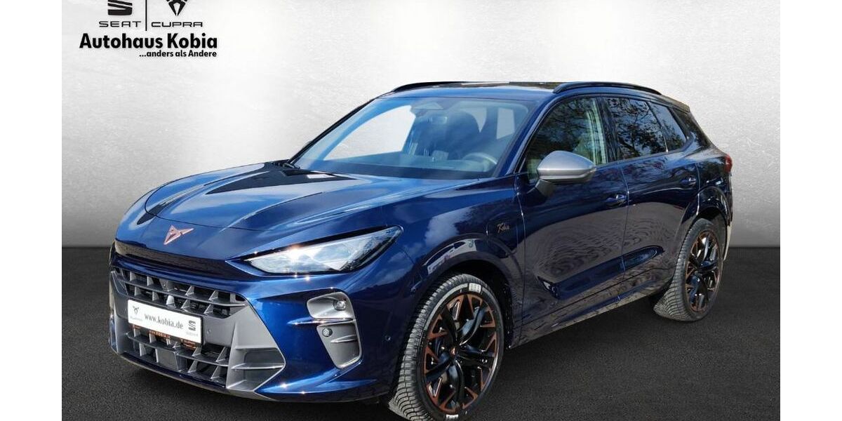 Cupra Terramar 11.510 km 48.890 &euro; Sinsheim 74889