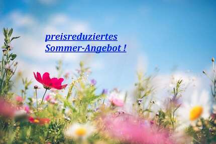 Wohnung Eberstadt - 3 Zimmer, 83 m&sup2;, 249.000&euro; | Angebot:24729564
