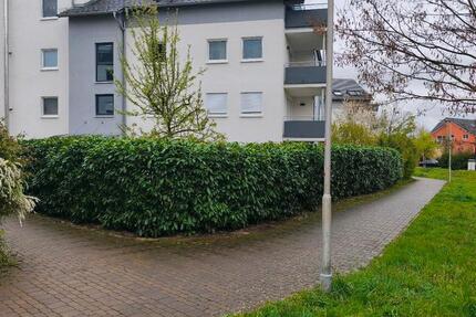 Wohnung Öhringen - 2 Zimmer, 56 m&sup2;, 265.000&euro; | Angebot:26443942