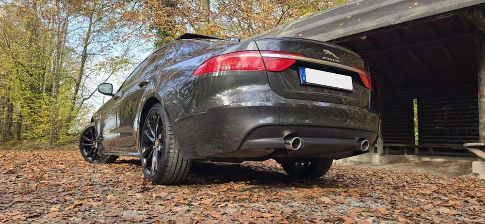 XF