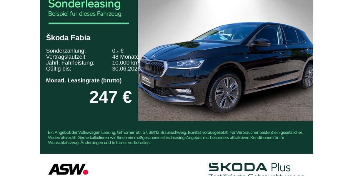 Skoda Fabia 24.800 km 21.360 &euro; Bad Rappenau 74906