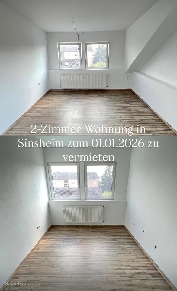 2-Zimmer Wohnung in Sinsheim zu vermieten zimmer