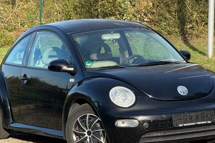 VW New Beetle 200.000 km 3.000 &euro; Murr 71711