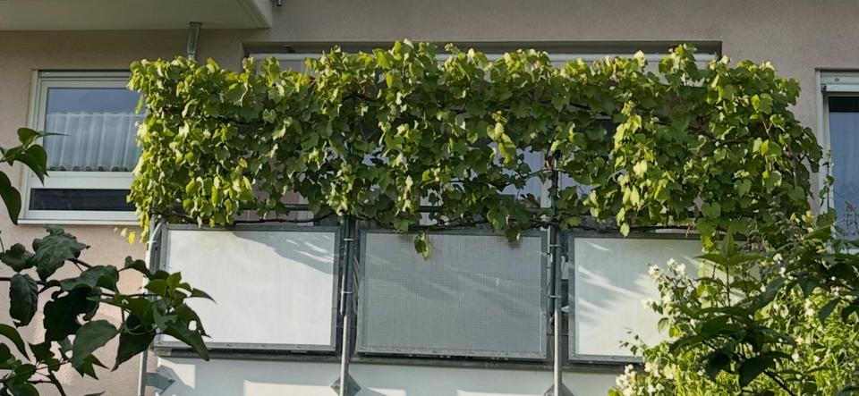 Etagenwohnung Sachsenheim - 3 Zimmer, 72 m&sup2;, 349.000&euro; | Angebot:26037677