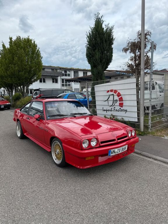 Manta
