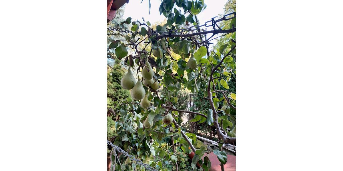 Einfamilienhaus Bietigheim-Bissingen Bissingen - 5 Zimmer, 128 m&sup2;, 749.000&euro; | Angebot:26373121