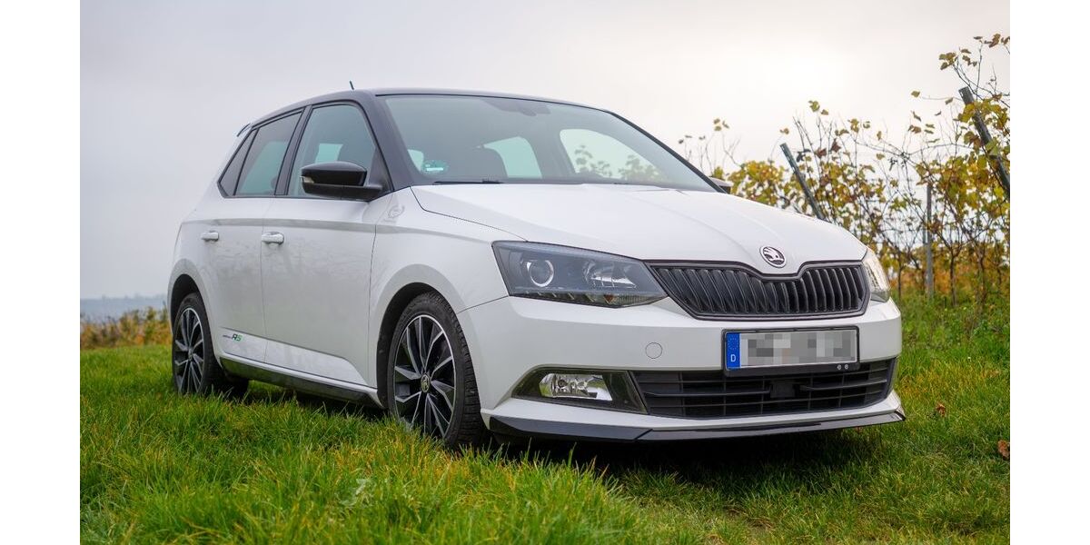 Skoda Fabia 149.520 km 10.900 € Lauffen 74348