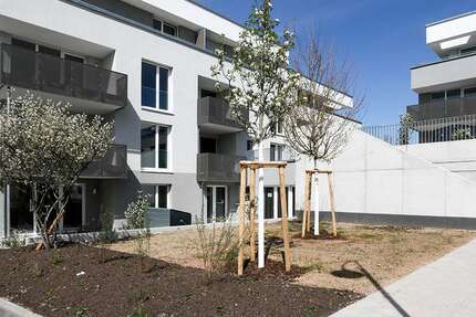 Wohnung zum Kaufen in Brackenheim 549.000 € 100.46 m² 4 zimmer