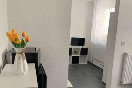 1 Wohnung möbliert an Berufspendler in Bad Friedrichshall 2 zimmer