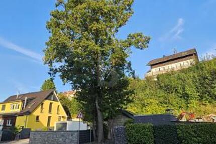 VIELSEITIGER RAUM FÜR LEBEN UND ARBEIT IN TOP-LAGE - Grundstück Steinheim an der Murr | Angebot:27199269