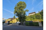 VIELSEITIGER RAUM FÜR LEBEN UND ARBEIT IN TOP-LAGE - Grundstück Steinheim an der Murr | Angebot:27199269