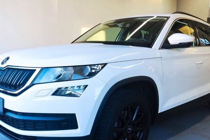 Skoda Kodiaq 196.000 km 17.455 &euro; Heilbronn-Talheim 74388