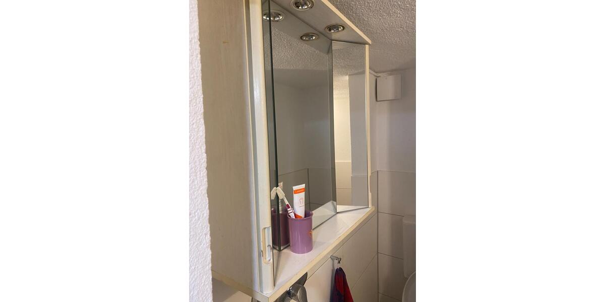 Erdgeschoßwohnung Heilbronn Horkheim - 1 Zimmer, 19 m&sup2;, 440&euro; | Angebot:24876890