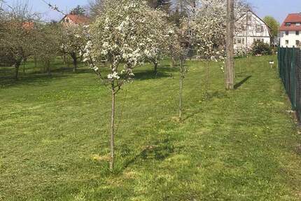 Großzügiges Grundstück mit vielseitigen Bebauungsmöglichkeiten zimmer