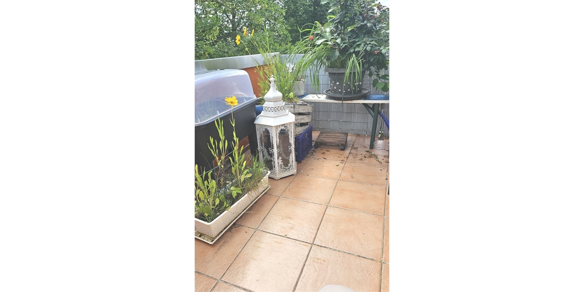 Schnucklige, 1-Zi.-Whg. mit EBK, Balkon und Stellplatz in Freiberg a.N. zu verkaufen 1 zimmer