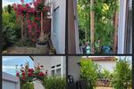 Erdgeschoßwohnung Obersulm - 2.5 Zimmer, 56 m&sup2;, 229.000&euro; | Angebot:26532249