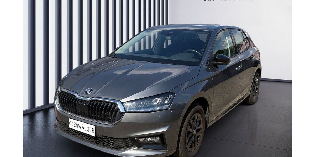 Skoda Fabia 19.997 km 18.240 &euro; Zaberfeld-Michelbach 74374