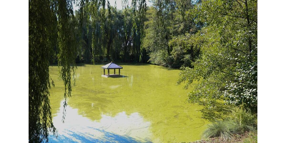 Gemütliche Wohnung im Weinsberger Tal 2 zimmer