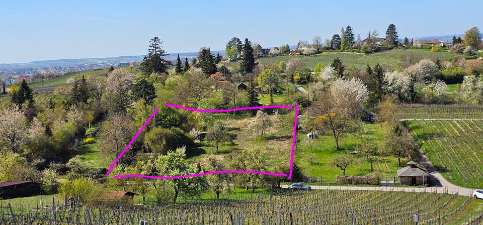 Einfamilienhaus Heilbronn Horkheim - 86.000&euro; | Angebot:20260802