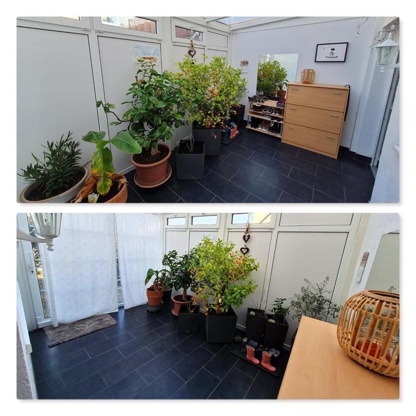 Moderne 5 Zimmer Wohnung in Bretzfeld *PROVISIONSFREI*