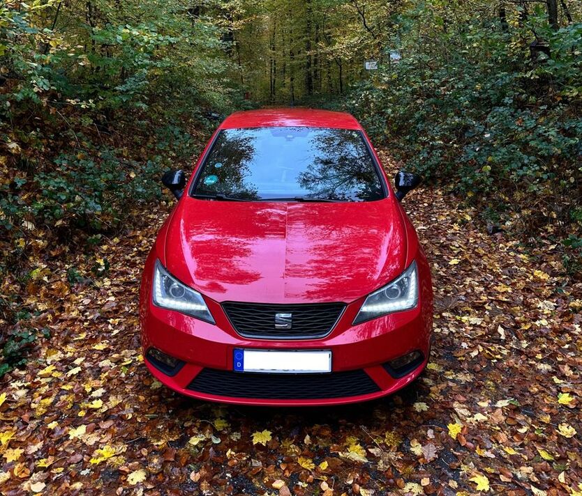 Seat Ibiza 117.000 km 6.900 € Aglasterhausen 74858