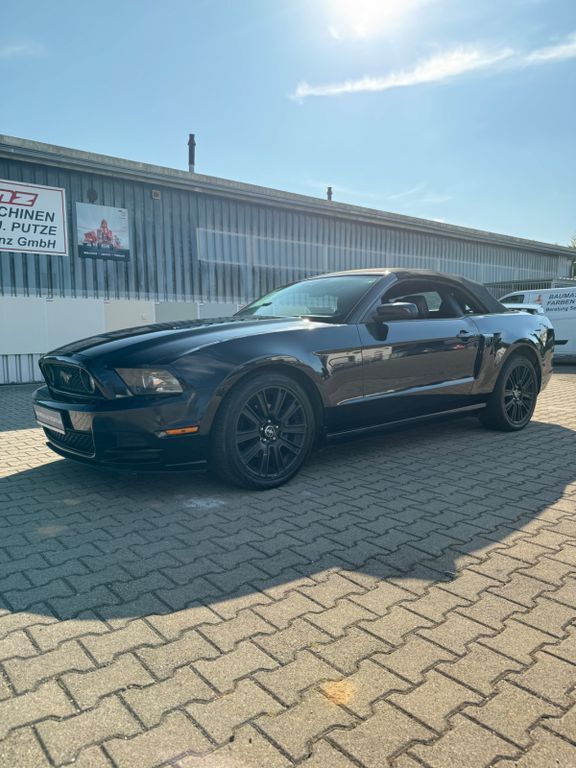 Mustang