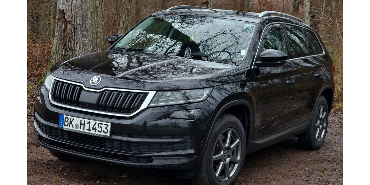 Skoda Kodiaq 173.000 km 22.800 &euro; Backnang 71522