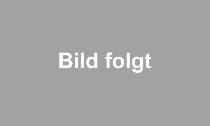 Etagenwohnung Tamm - 2 Zimmer, 55 m&sup2;, 340.000&euro; | Angebot:26709612