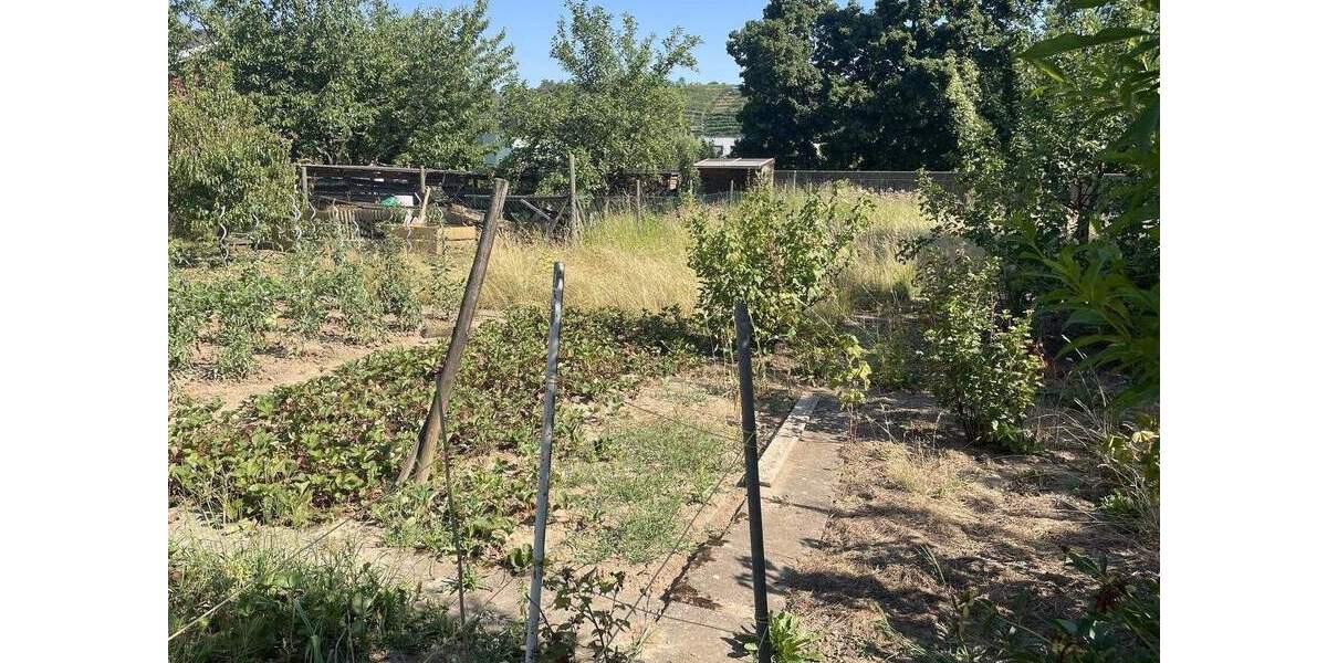 Grundstück Benningen am Neckar - 257.000&euro; | Angebot:25340716