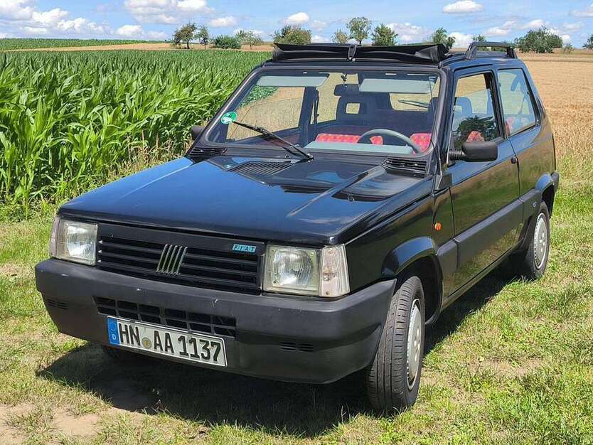 Panda