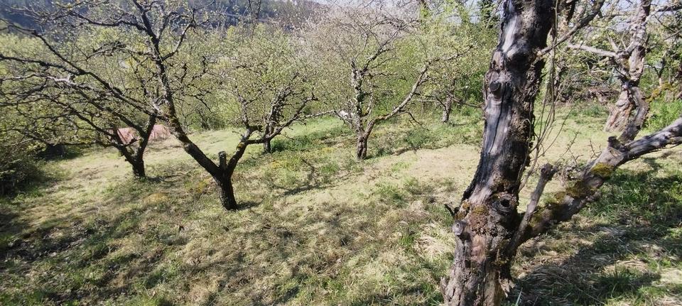 Grundstück Marbach am Neckar - 19.999&euro; | Angebot:25368945