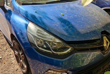Renault Clio 184.000 km 3.940 &euro; Gemmingen 75050