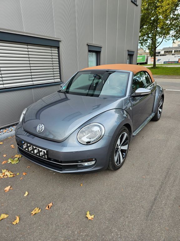 Beetle