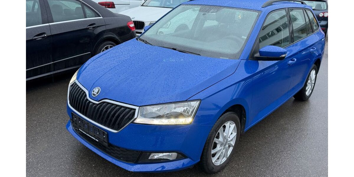 Skoda Fabia 80.000 km 8.499 &euro; Gundelsheim 74831