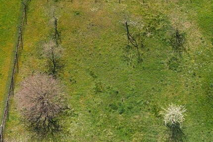 Grundstück Eberstadt Klingenhof - 243.900&euro; | Angebot:26061687