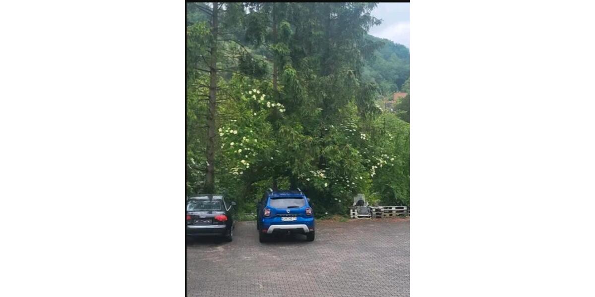 Etagenwohnung Forchtenberg - 3 Zimmer, 77 m&sup2;, 690&euro; | Angebot:26233419