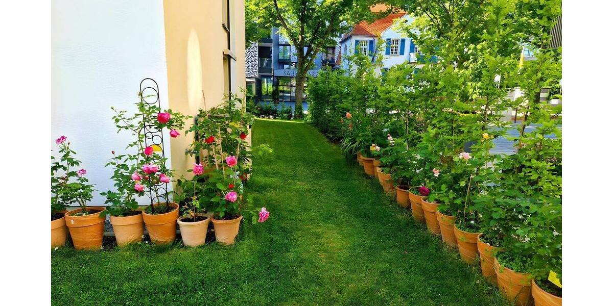 Etagenwohnung Bad Rappenau Bad Rappenau - 4 Zimmer, 123 m&sup2;, 1.450&euro; | Angebot:26805709