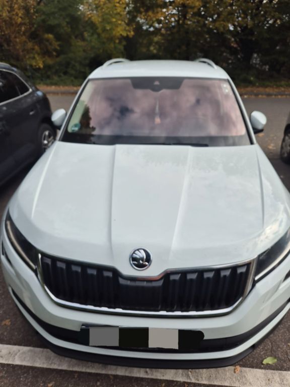 Skoda Kodiaq 212.000 km 16.990 € Vaihingen an der Enz 71665
