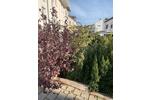 Maisonettenwohnung Weinsberg - 4 Zimmer, 120 m&sup2;, 1.500&euro; | Angebot:26681919