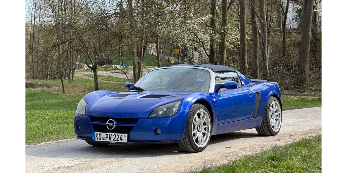 Opel Speedster 136.800 km 18.500 &euro; Oberriexingen 71739