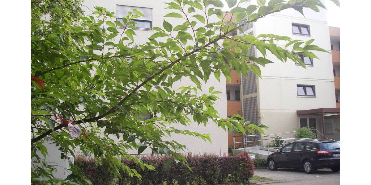 Etagenwohnung Heilbronn Horkheim - 3 Zimmer, 70 m&sup2;, 225.000&euro; | Angebot:26204365