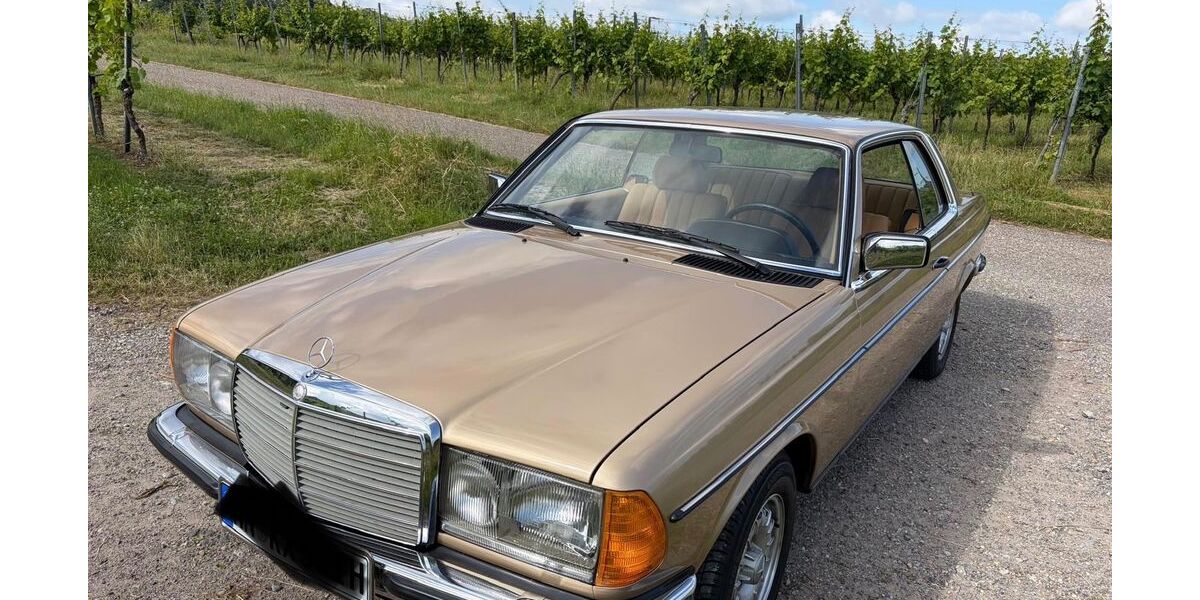 Mercedes-Benz 230 70.000 km 25.900 &euro; Löwenstein 74245